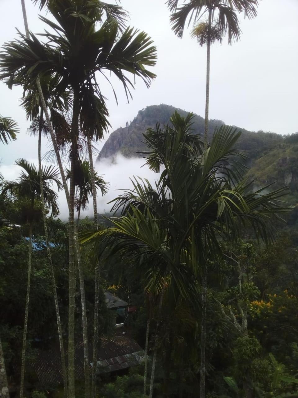 مبيت وإفطار إيلا Misty Heaven المظهر الخارجي الصورة